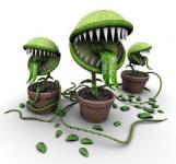 carnivorous plant A story about obedience to those who love us